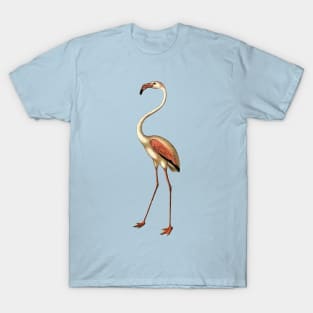 Regal romantic flamingo with beautiful long neck T-Shirt